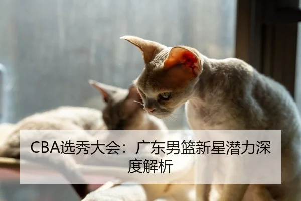 CBA选秀大会：广东男篮新星潜力深度解析（QMH）